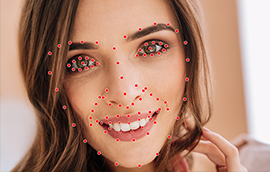 恒盛平台人脸关键点标注